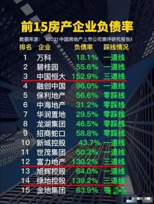 企业为什么要适度负债？（为什么非公开增发新股不影响负债）