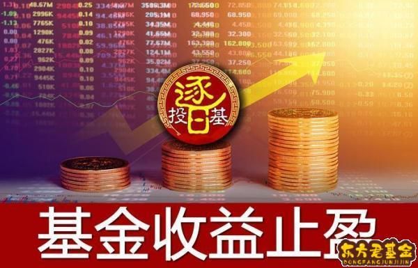 基金不加仓会怎样？（基金不加仓有什么影响吗）