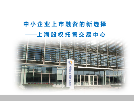 上海股权托管交易中心的简单介绍是什么？（上海市股权）