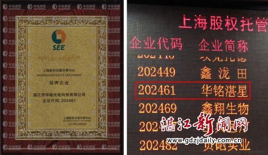 股权代码查询官网？（股权类证券）
