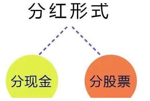 股权分红是什么意思？（股权能分红么）