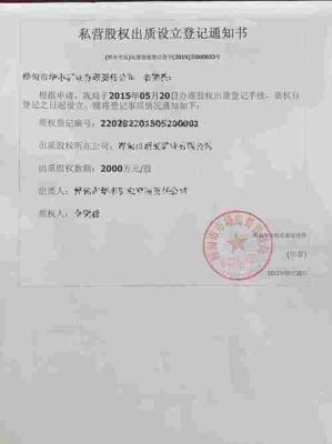 股权出质是什么意思呢？（什么叫股权出质）