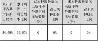 股权出质是什么意思呢？（什么叫股权出质）