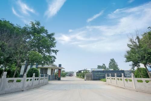 惠生集团的发展简史？（娇子电子股权咋样）