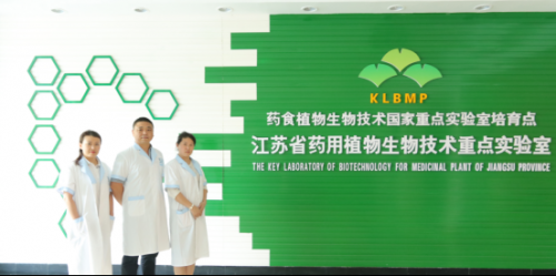 惠生集团的发展简史？（娇子电子股权咋样）