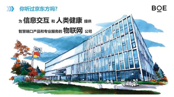 京东方的合作公司？（股权合作企业）