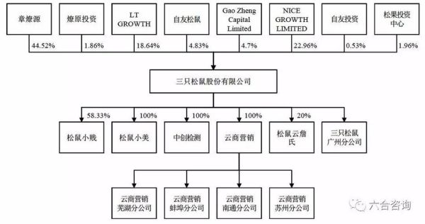 一个公司共有多少股份？（股权企业）