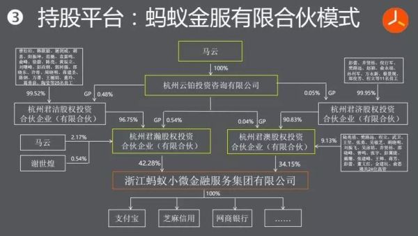 一个公司共有多少股份？（股权企业）