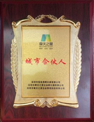 摩天之星的培训靠谱吗？（星股权）