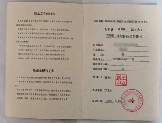 成员股权证是什么？（印股权）
