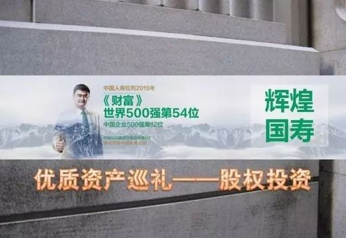国寿股权投资有限公司是国企吗？（股权投资 中国）